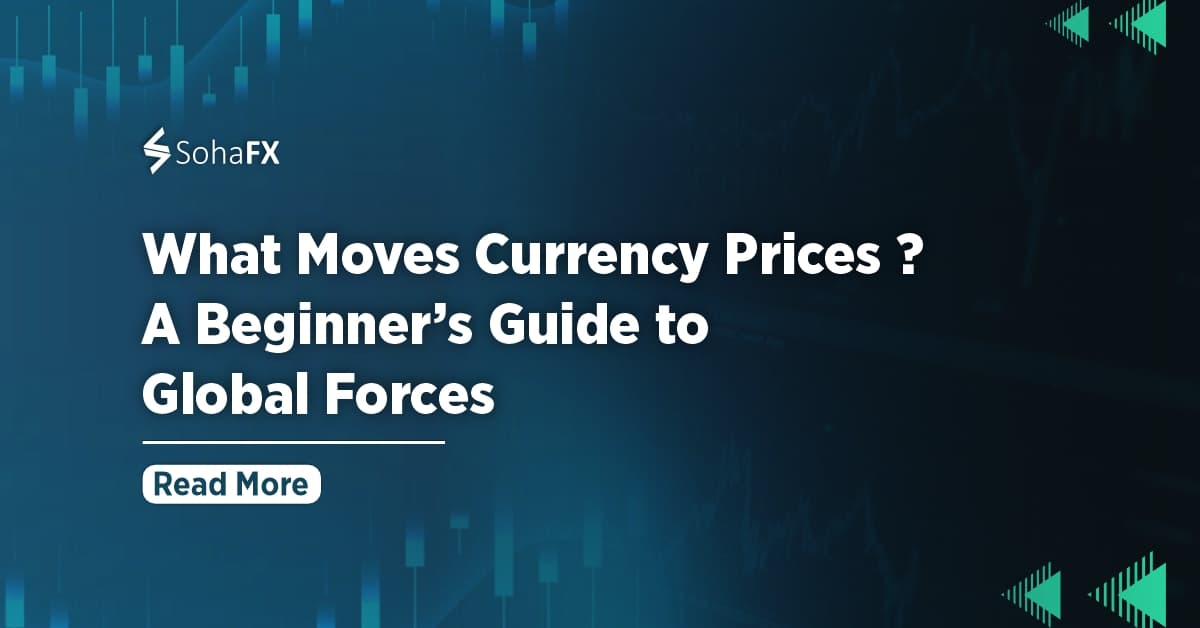 What Moves Currency Prices? A Beginner’s Guide to Global Forces